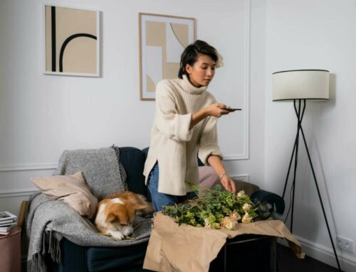 Cómo crear calendarios de contenido a la moda para Instagram
