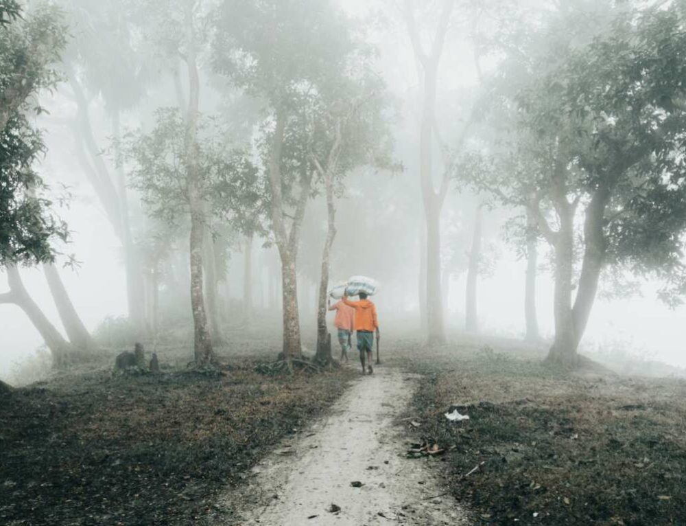 Why Is Nobody Seeing My Instagram Posts