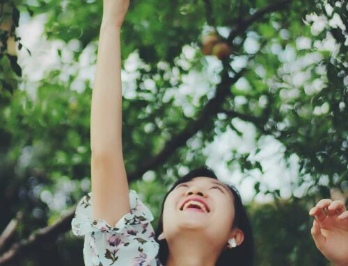 Top 33 Tools for Enhancing Social Media Presence