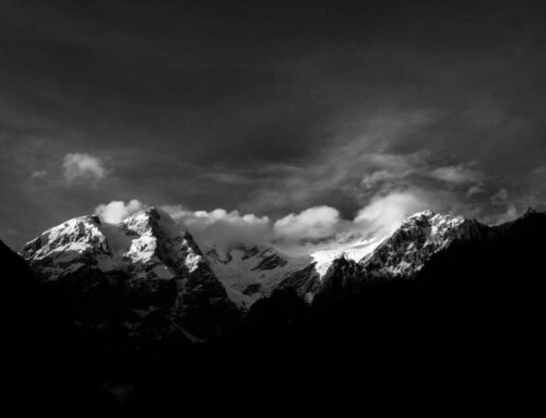 Segredos para dominar a segmentação de anúncios no Facebook e obter melhores resultados