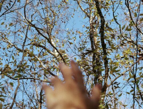 Metodi semplici per recuperare un account Facebook hackerato