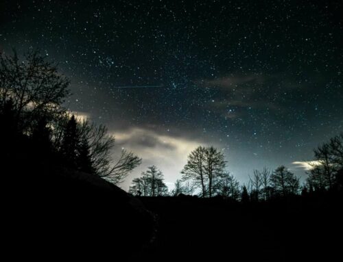 Façons d’exploiter l’algorithme d’Instagram pour une visibilité optimale