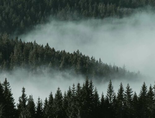 Strategies to create eye-catching Facebook cover photos easily