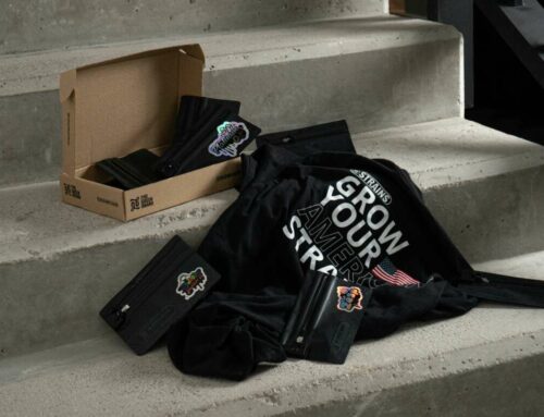 Top 7 Secrets to Growing Your TikTok Following Organically