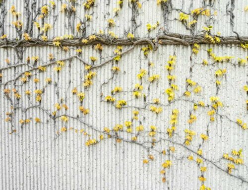 Secrets pour créer des légendes captivantes sur Facebook