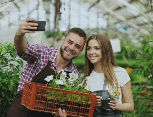 Come aumentare la visibilità su Instagram senza pubblicità a pagamento?