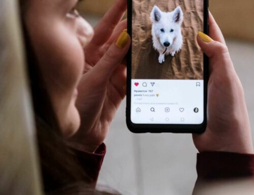 Simple tricks to grow a TikTok following organically