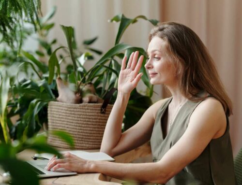 Techniques for curating content on LinkedIn